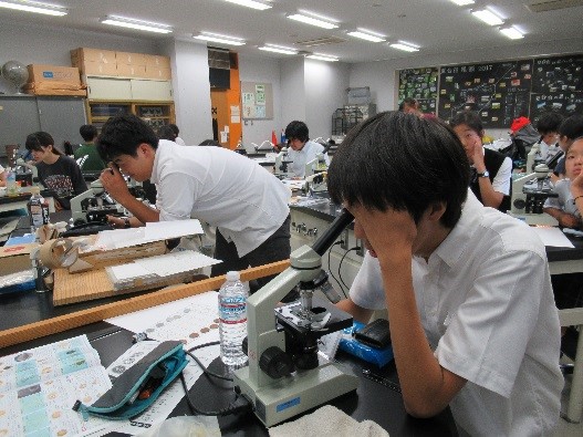 生物実験合宿レポート