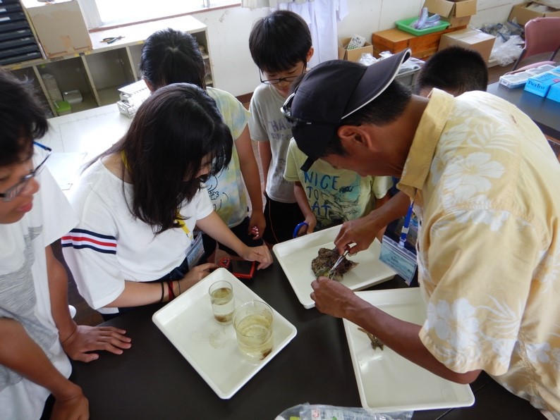 サンゴ礁サイエンスキャンプ in 喜界島