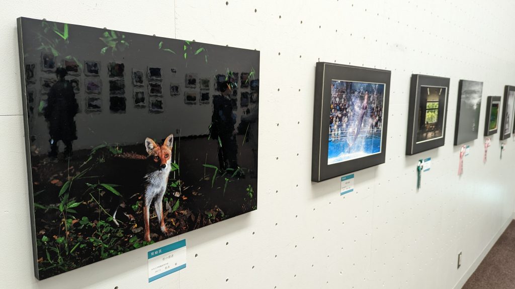 第５０回　東京私立中学高等学校協会　生徒写真展　奨励賞受賞！